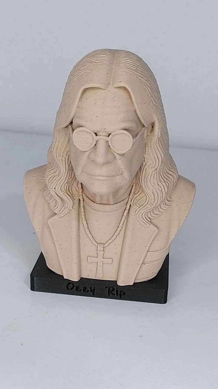 Busto Artesanal do Roqueiro