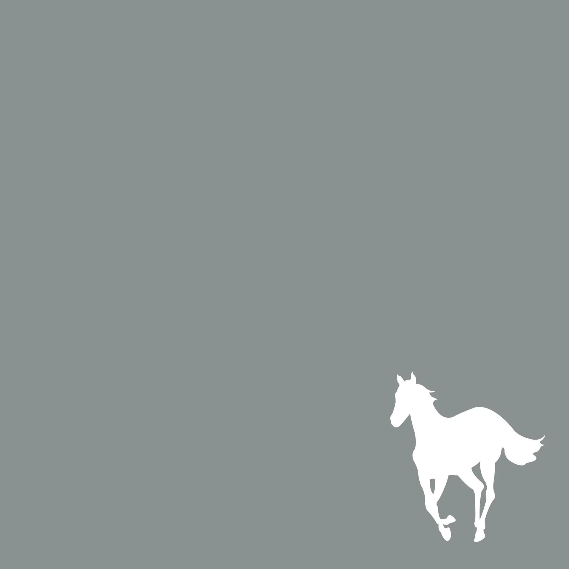 Capa com silhueta do cavalo branco